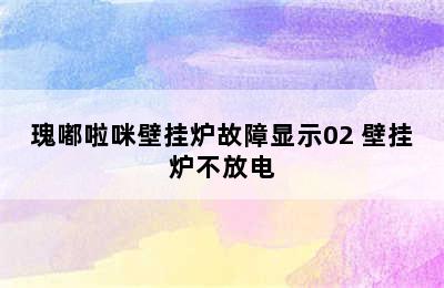 瑰嘟啦咪壁挂炉故障显示02 壁挂炉不放电